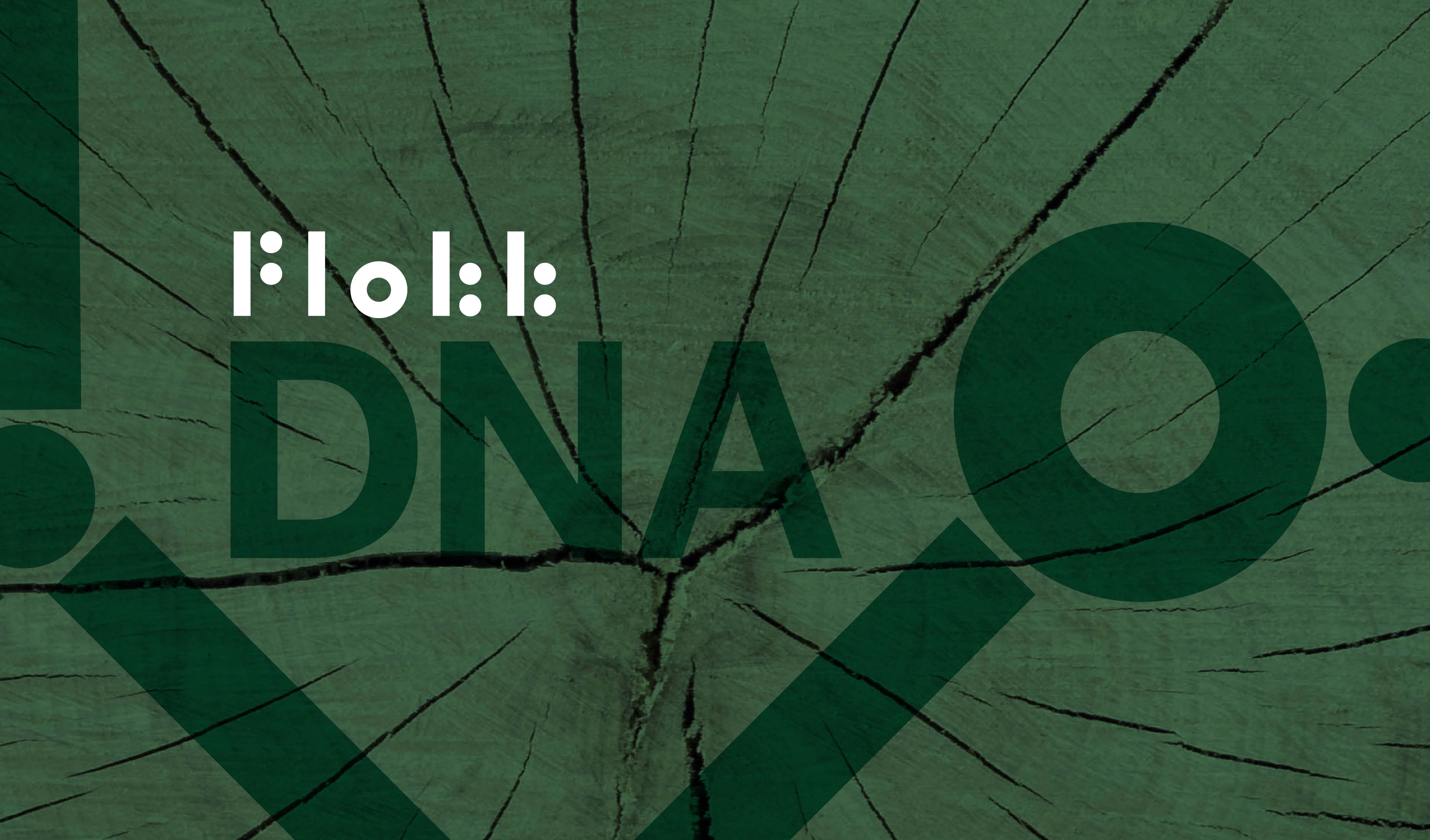 Flokk DNA BANNER_Cropped