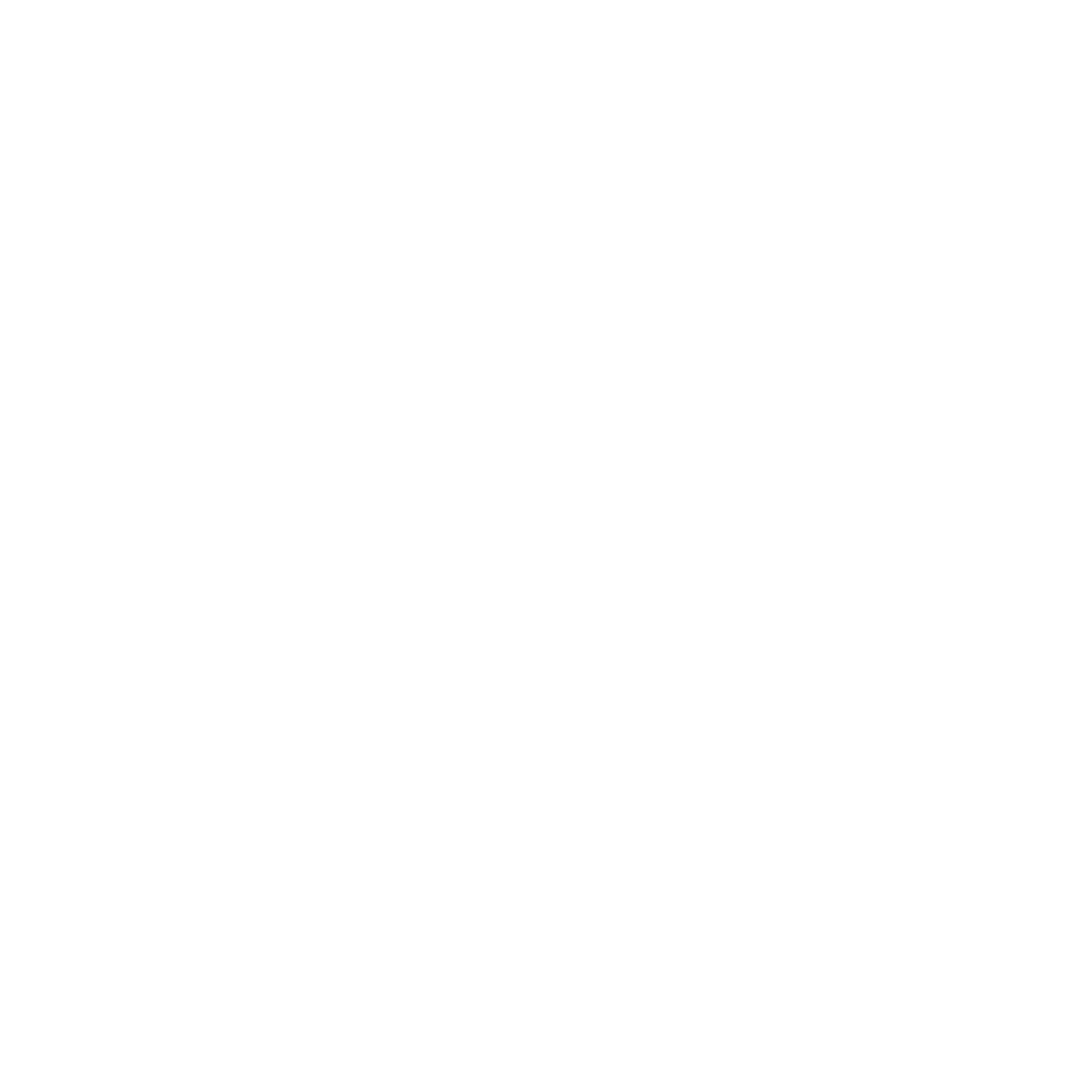 Web_pictures_Mesh _logo-1