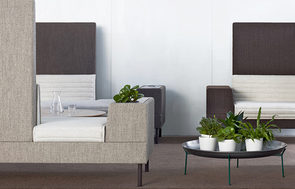 offecct_web