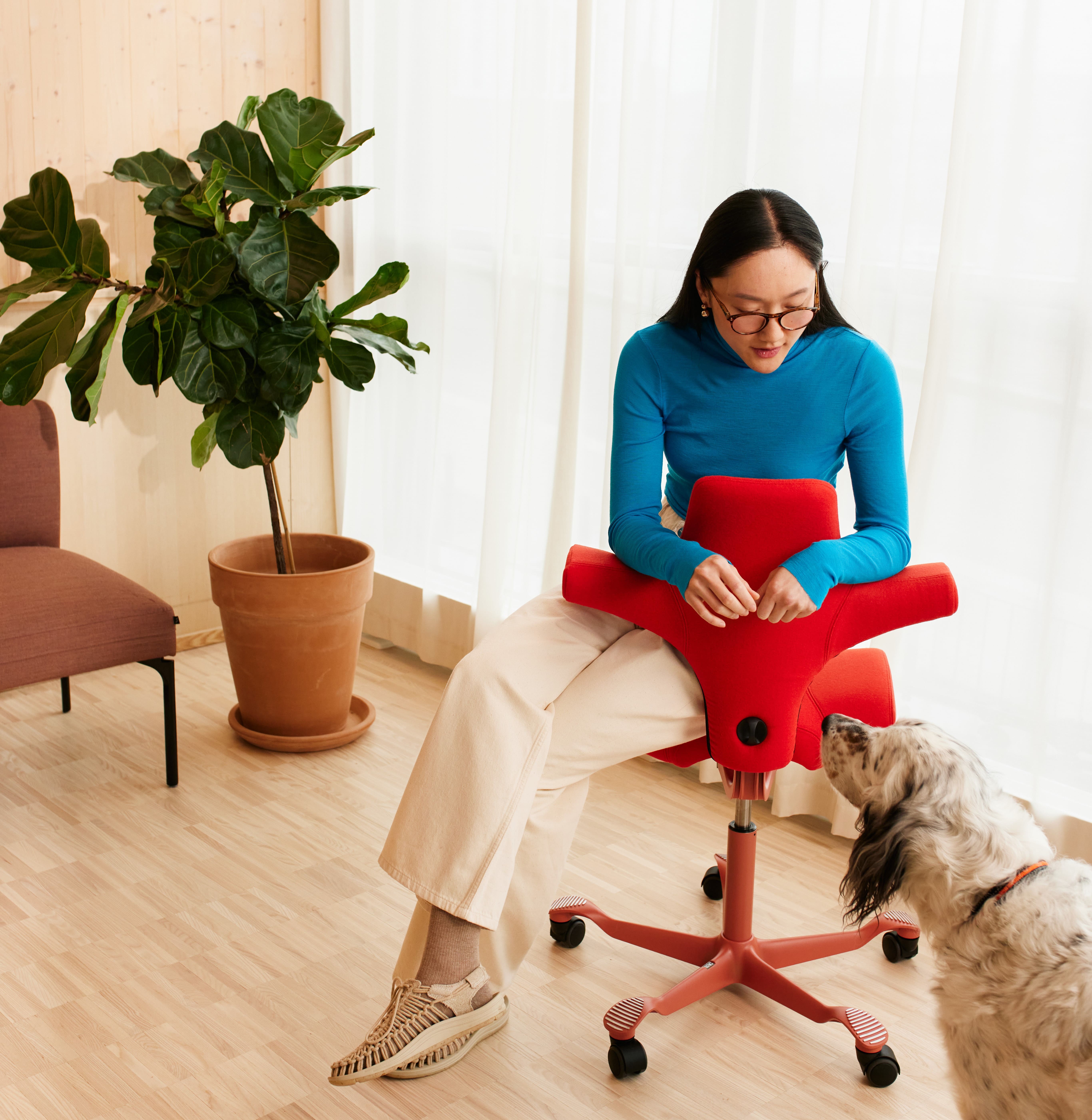 focus.flokk.comhubfsFranceFlokk focusfr article_ tripp trapp capisco 1